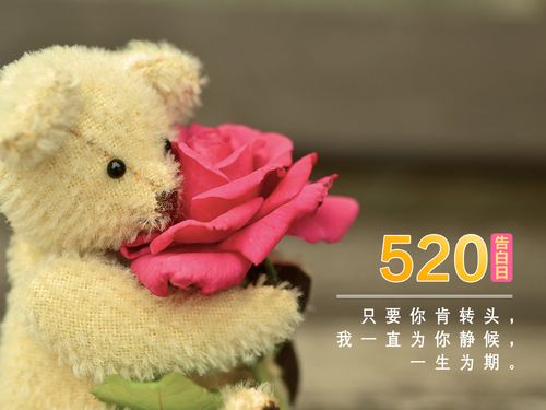 关于520发朋友圈的说说（520发朋友圈，让爱情更加甜蜜）