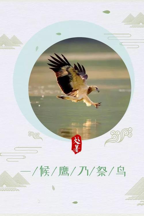 有关今日处暑抖音说说的短句（梦回处暑，秋意渐浓）