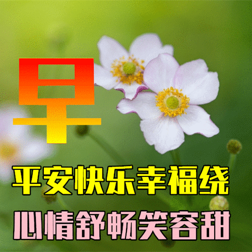 教师节问候短语（教师节暖心问候——感谢有你们）