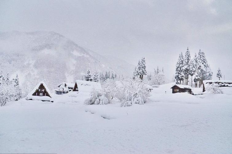 大雪话语（大雪纷飞）