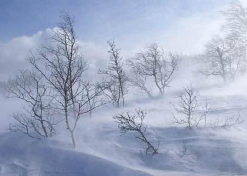 大雪话语（大雪纷飞）