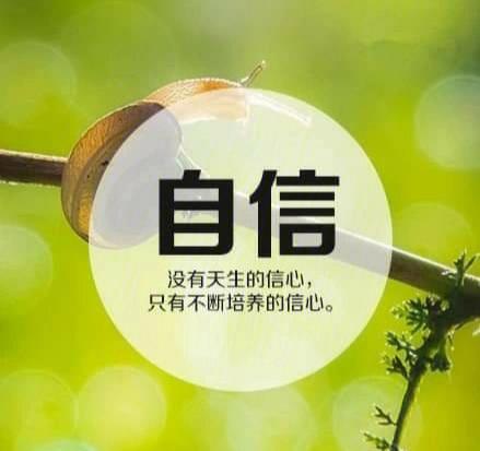 有关坚持的句子摘抄（坚持，让生命更加出彩）