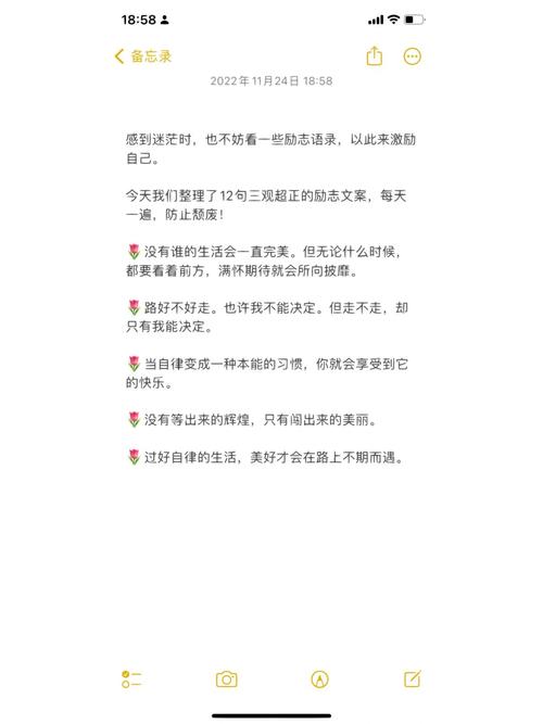 关于坚持不下去的语句（坚持不下去的时候，你需要这些唯美励志句子）