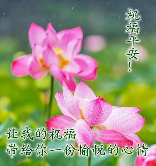 八月早安祝福语大全（八月早安语好句）