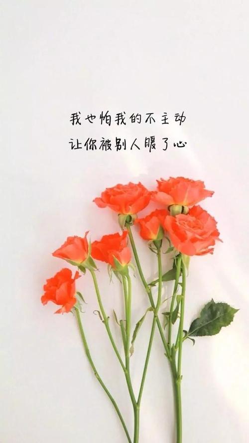 有关花的句子唯美短句的句子摘抄（花开花落，生命循环）