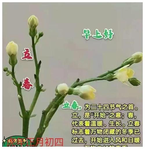 虎年的春联大全（虎年立春祝福语）