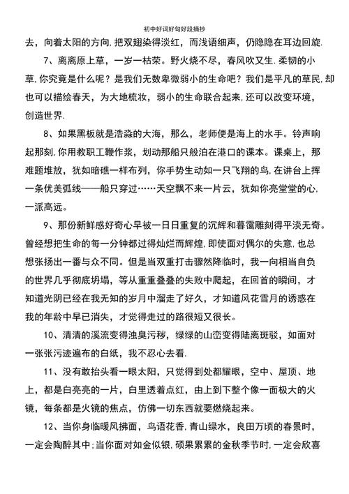 有关好朋友的好句好段的短句有哪些（《相知相惜，情谊永存》）