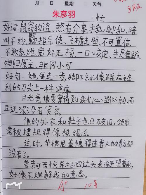 关于好词好段摘抄（人生之美——摘抄好词好句好段）