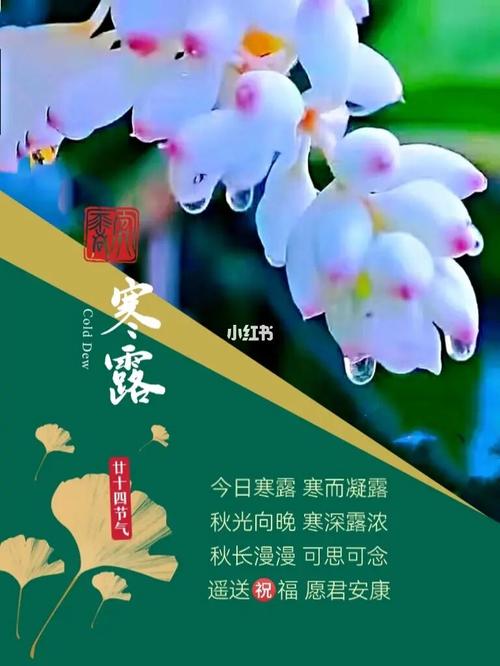 寒露时节祝福的句子（秋色漫卷）