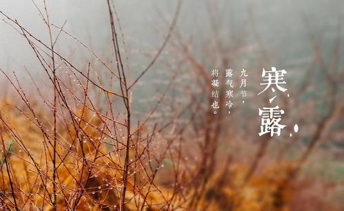 寒露节气祝福语怎么说（秋意悠然，如诗如画）