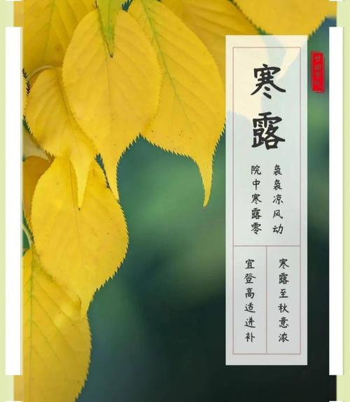 2018寒露节气短信祝福语录（秋意渐浓，祝愿渐升）