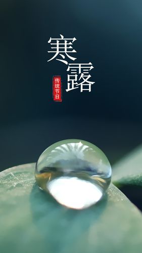 寒露送给朋友的祝福语（以短信传递温暖的力量）