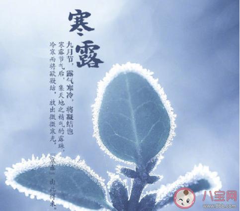 寒露节气说说心情句（寒露节气下的秋色）