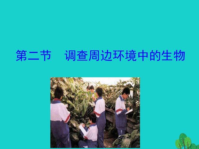 关于环境的调查报告作文（《环保者的良心》）