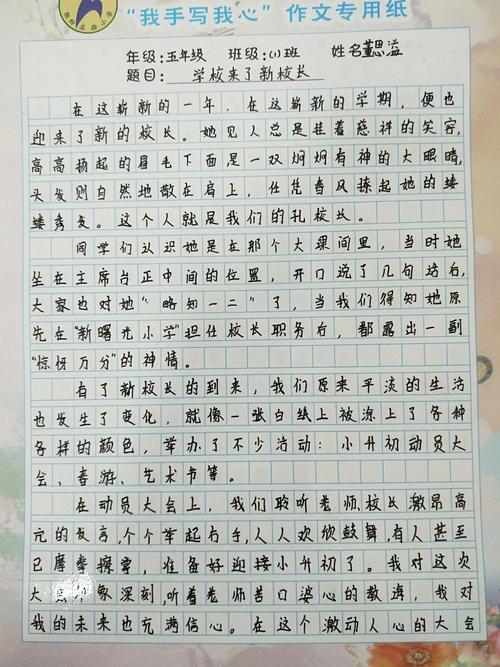 以我在什么中成长为话题的作文800字（《成长的历程》）