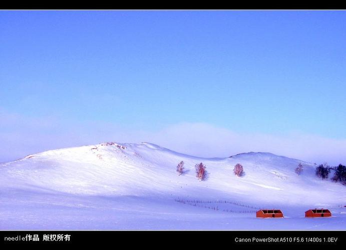 以冬天为景的作文（《冬日里的温暖》）