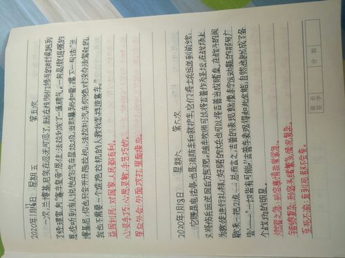 有关摘抄的作文800字（《摘抄的旅程》）