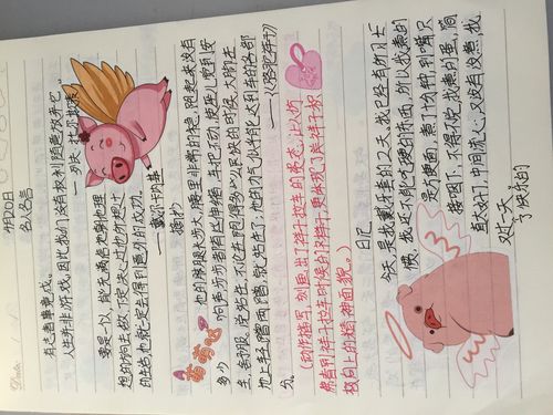 有关摘抄的作文800字（《摘抄的旅程》）