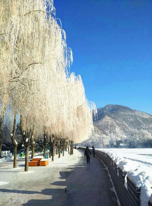 有关冬景的作文大学（《寻找失落的记忆》）