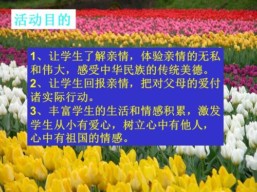 以亲情为话题600字优秀作文（《“红领巾下的那一抹笑容”》）