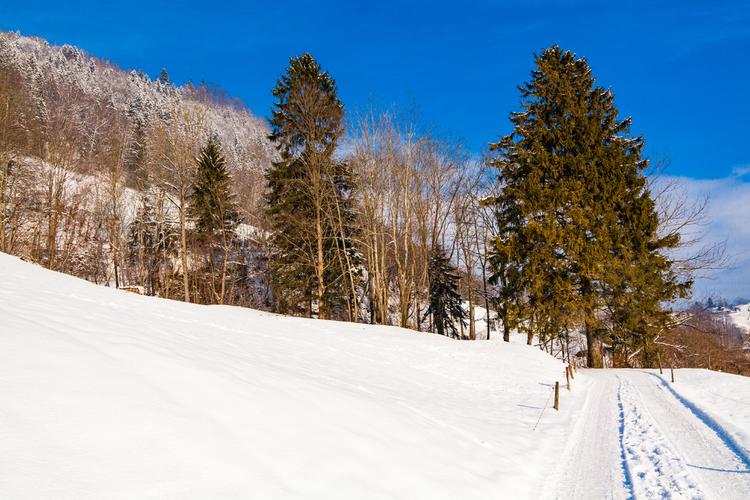 美丽的冬天为题写一篇作文（《穿越雪山，寻找那份温暖》）