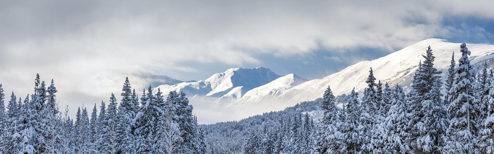 美丽的冬天为题写一篇作文（《穿越雪山，寻找那份温暖》）