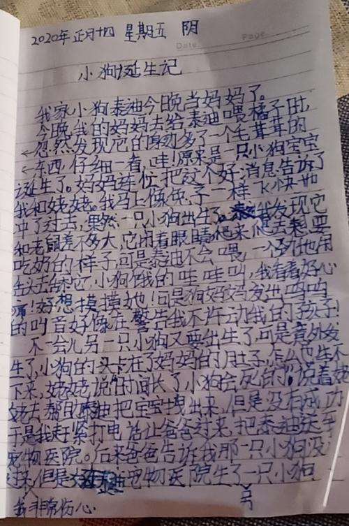 有关写小狗的作文400字（《小狗的奇幻之旅》）