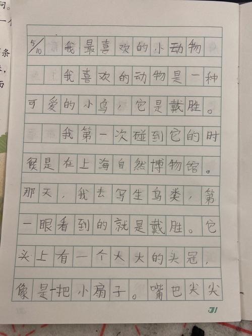 关于最喜欢的小动物的作文（《小兔子的冒险》）