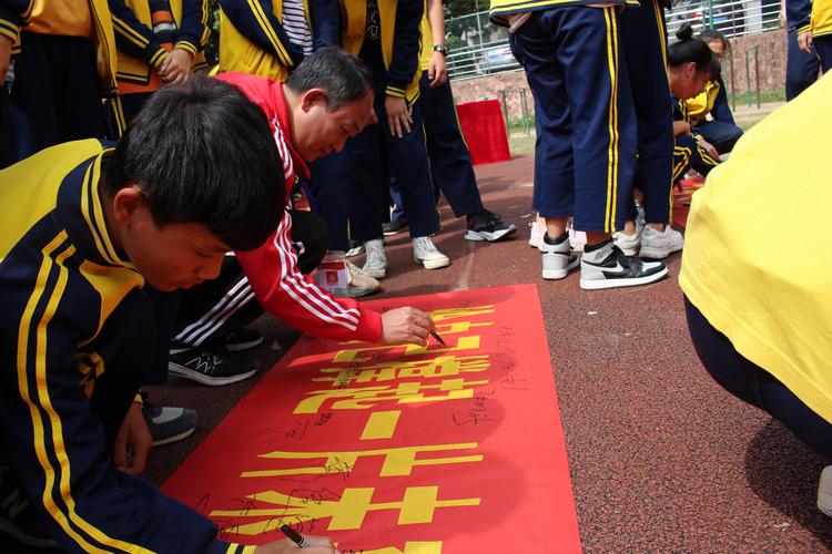 让梦想飞翔作文800字（《少年的梦，飞向未来》）