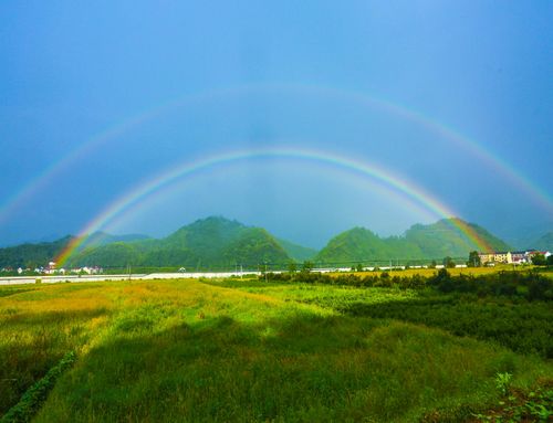 以彩虹为话题的作文500字（《风雨过后，始见彩虹》）