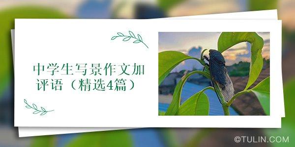 关于写景的优秀作文400字（《青山绿水间》）