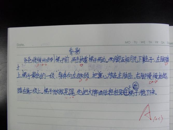 有细节描写的作文片段200字左右（《探秘神秘的山洞》）