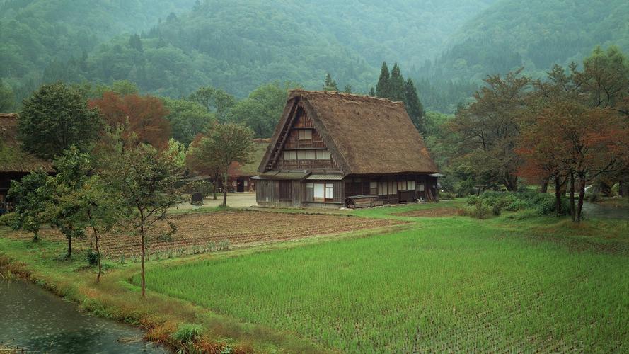 夏日的荷塘高中作文（《夏日即景》）