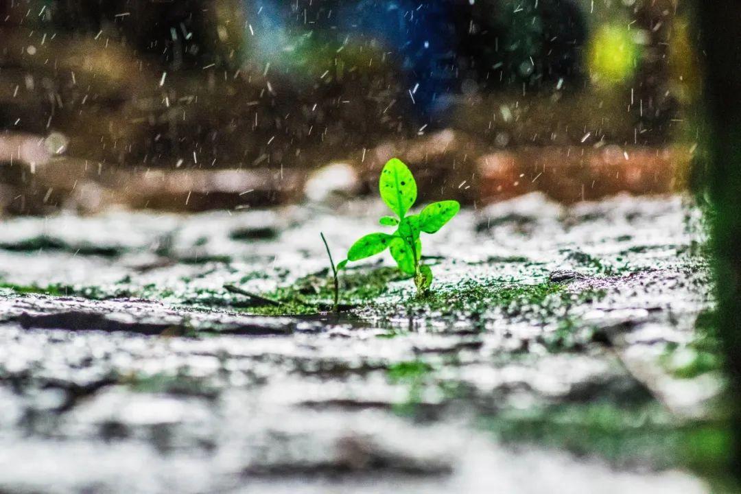 形容雨声的唯美古诗词（30首夏雨诗词）