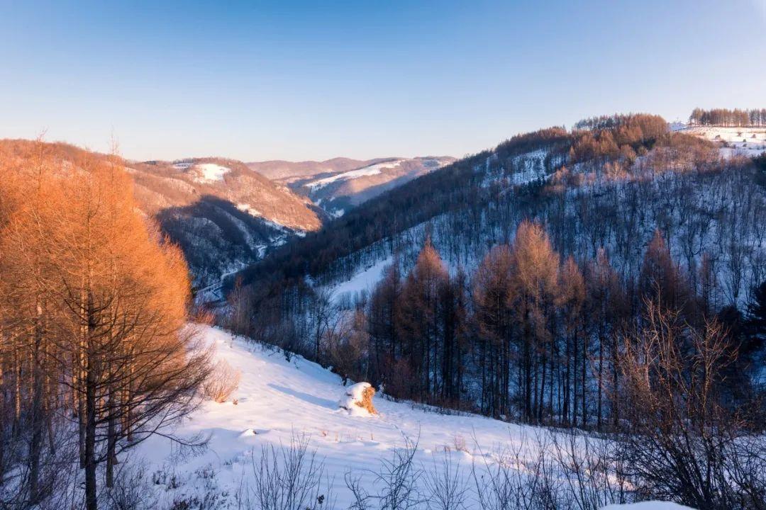 岁暮雪落，梅花暗折（绝美的10首大寒诗词）