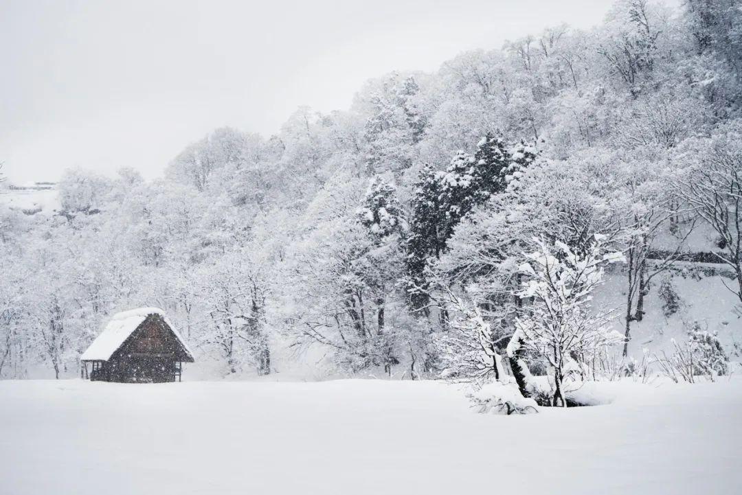 岁暮雪落，梅花暗折（绝美的10首大寒诗词）