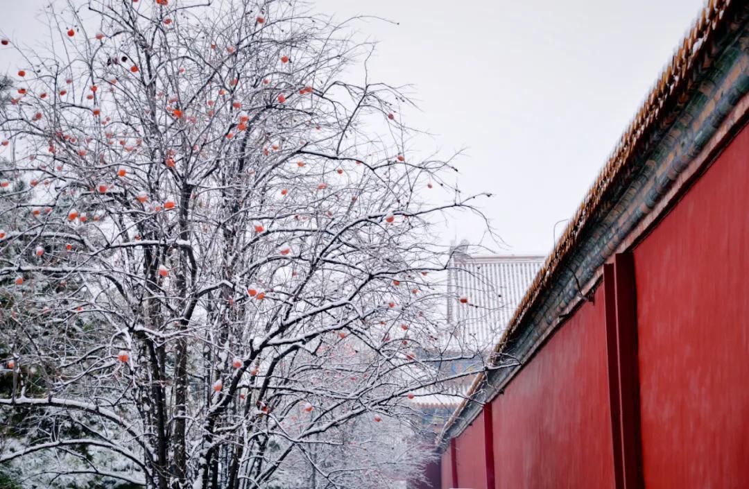 写雪经典诗词有哪些（分享25句写雪的诗词）