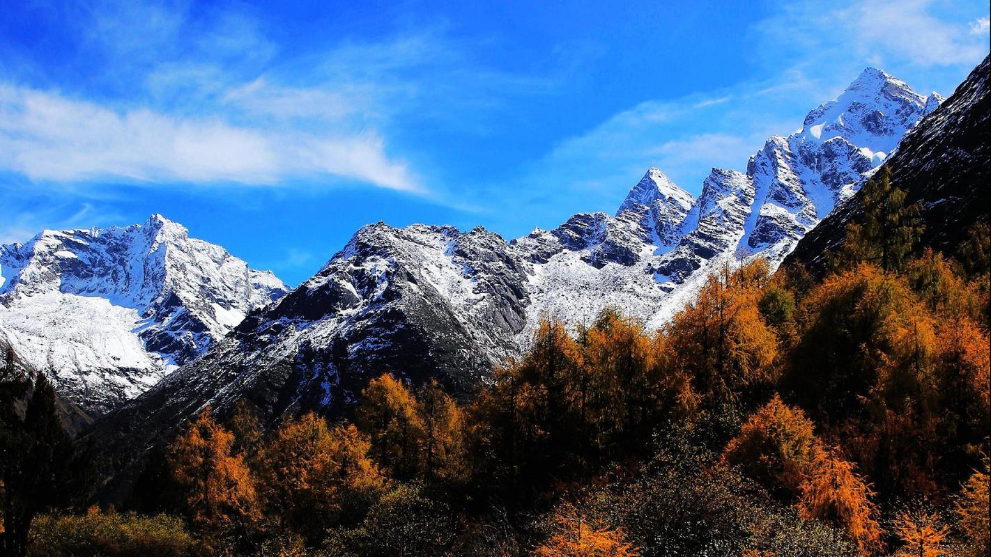 难忘的决定高中作文（《难忘的风景》）