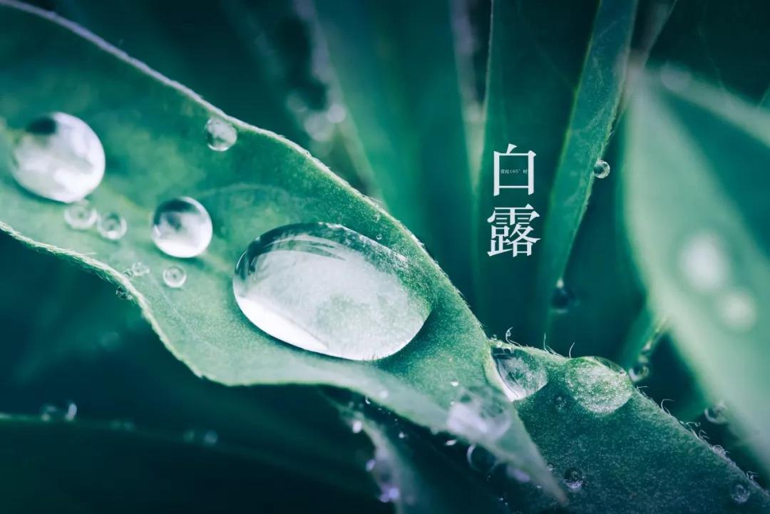 节气诗词名句摘抄（二十四节气二十四首诗词）