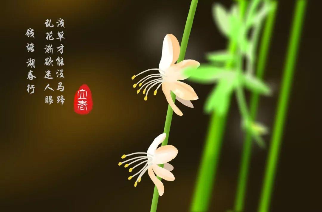 节气诗词名句摘抄（二十四节气二十四首诗词）