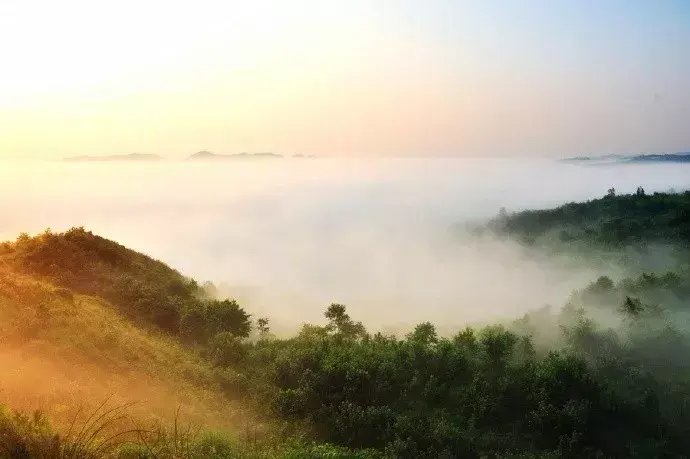 陆游经典古诗有哪些（十首陆游诗词经典）