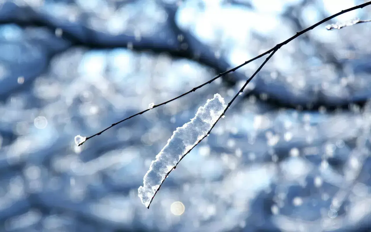 大雪经典古诗词鉴赏（24首大雪诗词）