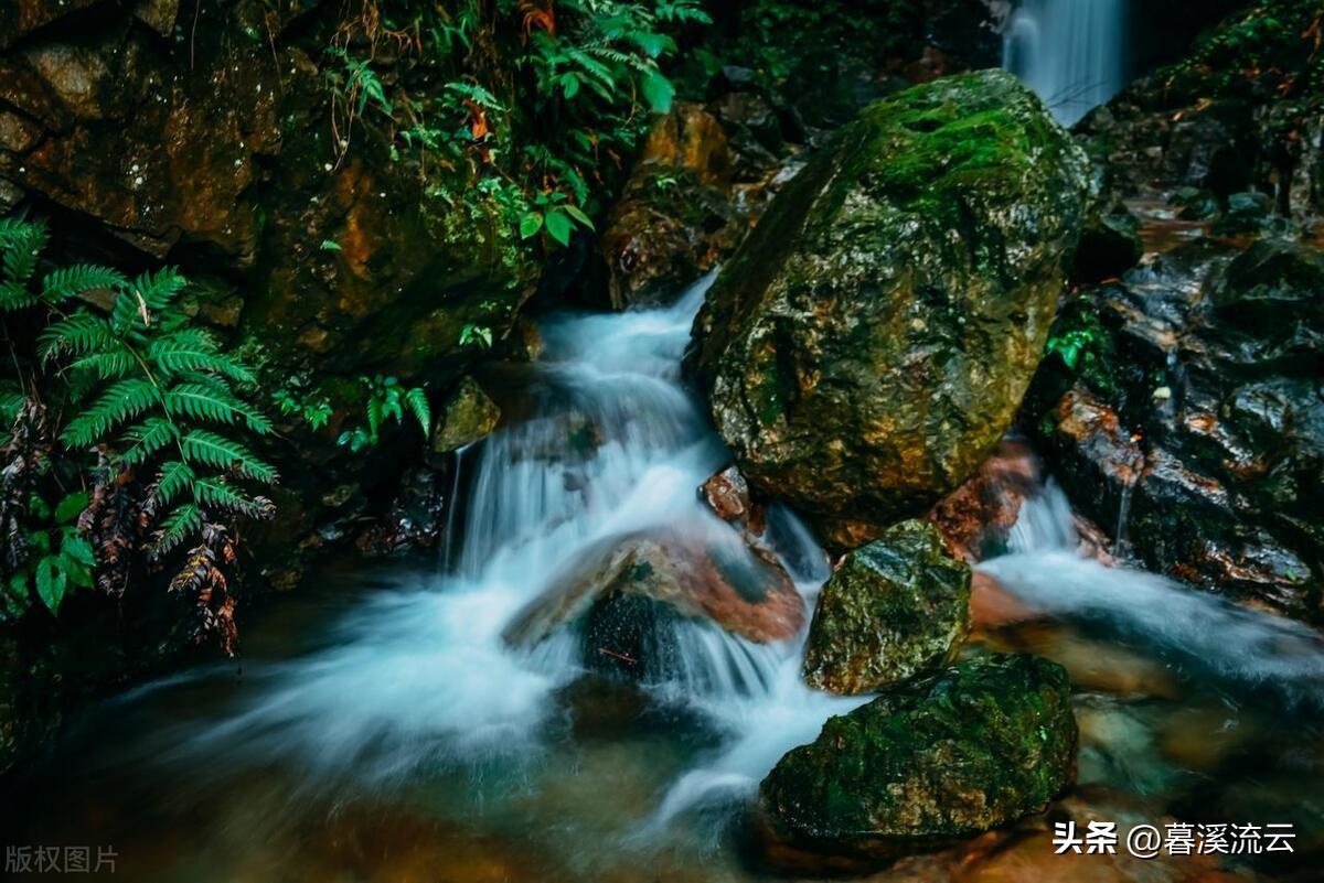 田园经典诗词大全（五首山水田园诗词）