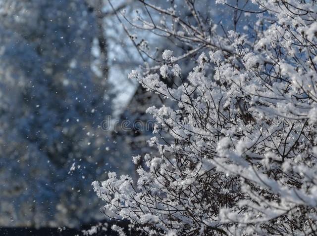 冬雪古诗词句大全（100句冬雪诗词）