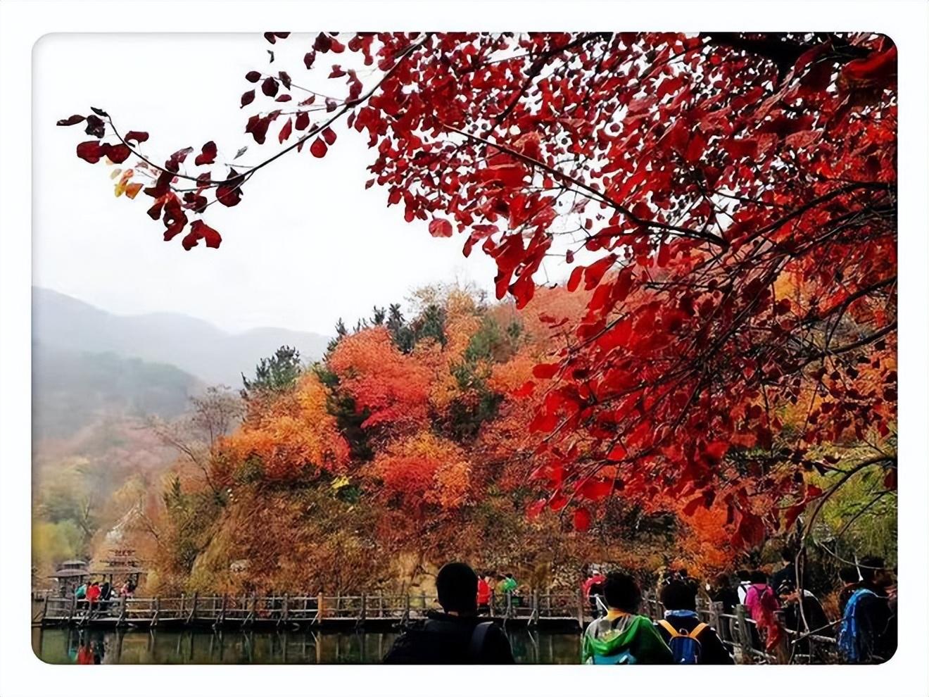 初冬古诗词大全（9首初冬古诗名句）