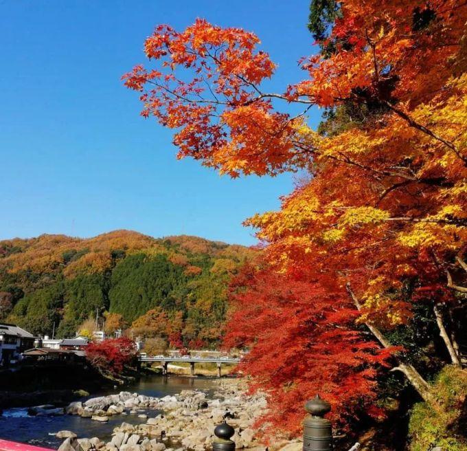 风景优美的诗句（山清水秀15首古诗词）