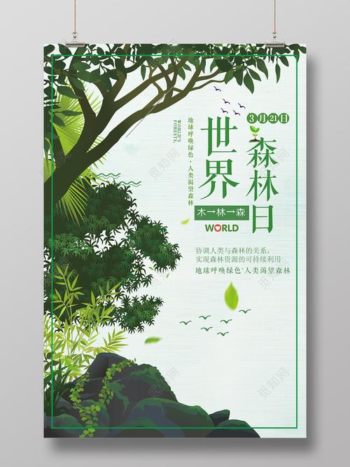 保护森林作文800字高中2020（《守护绿色世界》）