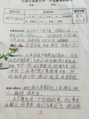 我的成长足迹作文300字（《我的成长足迹》）