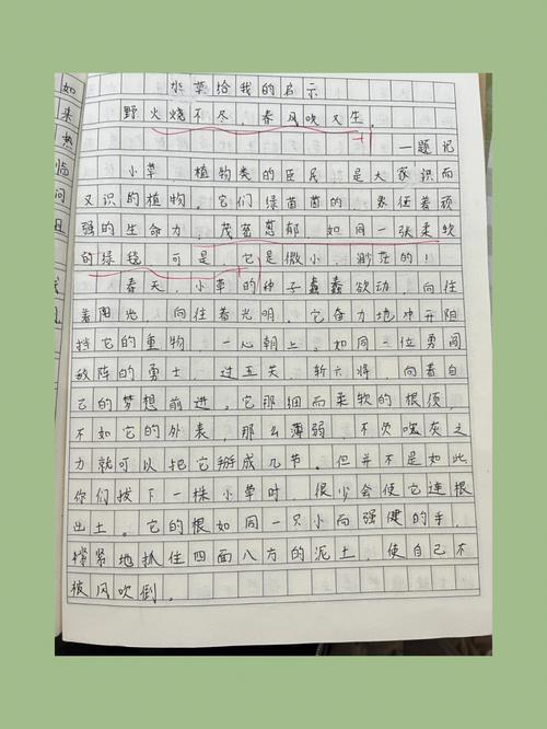 小草给我们的启示,的作文怎么写四年级（《小草的力量》）