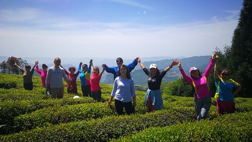 以洒满阳光的道路为话题的作文800字（《阳光路上的奇妙旅程》）